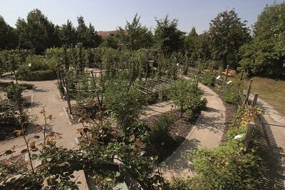 Obstlehrgarten Coburg