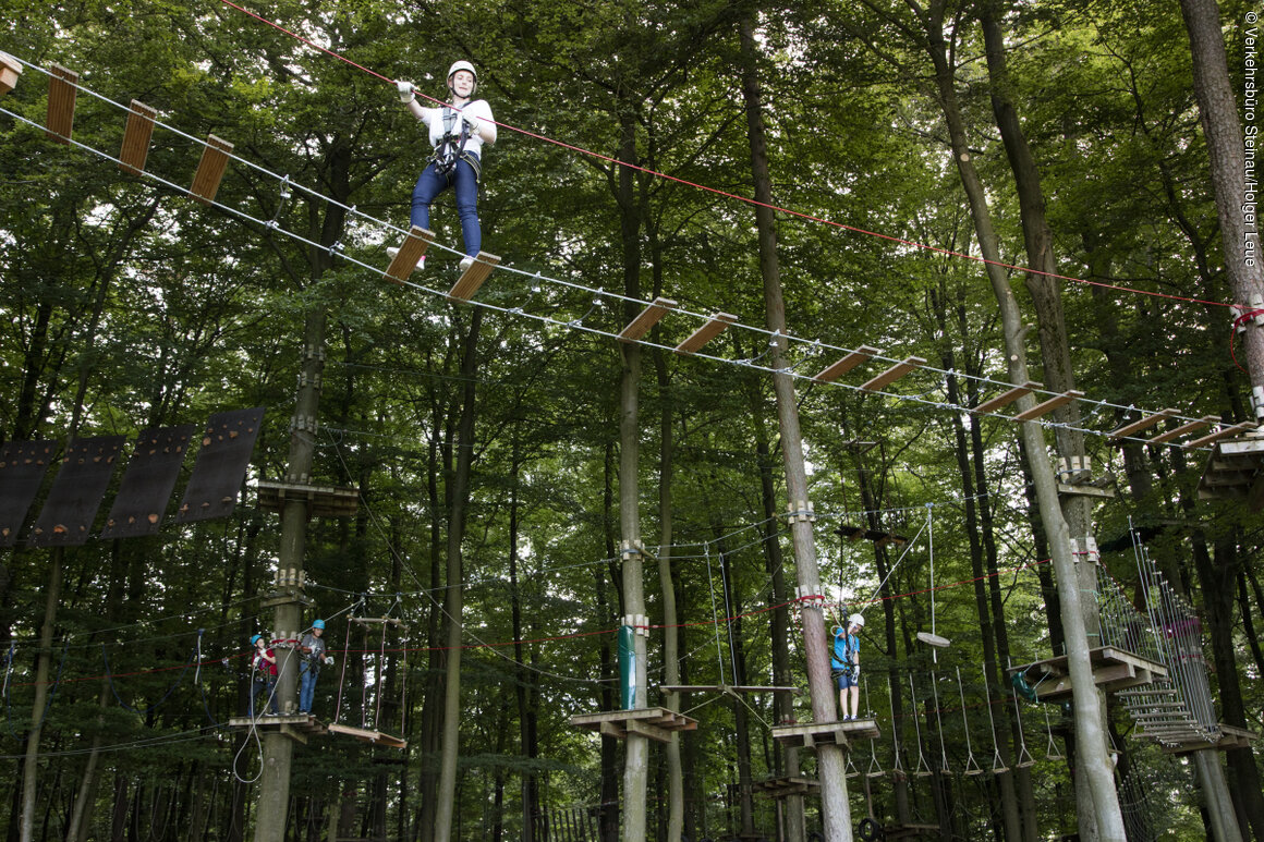 Kletterwald (Steinau an der Straße, Spessart-Mainland)