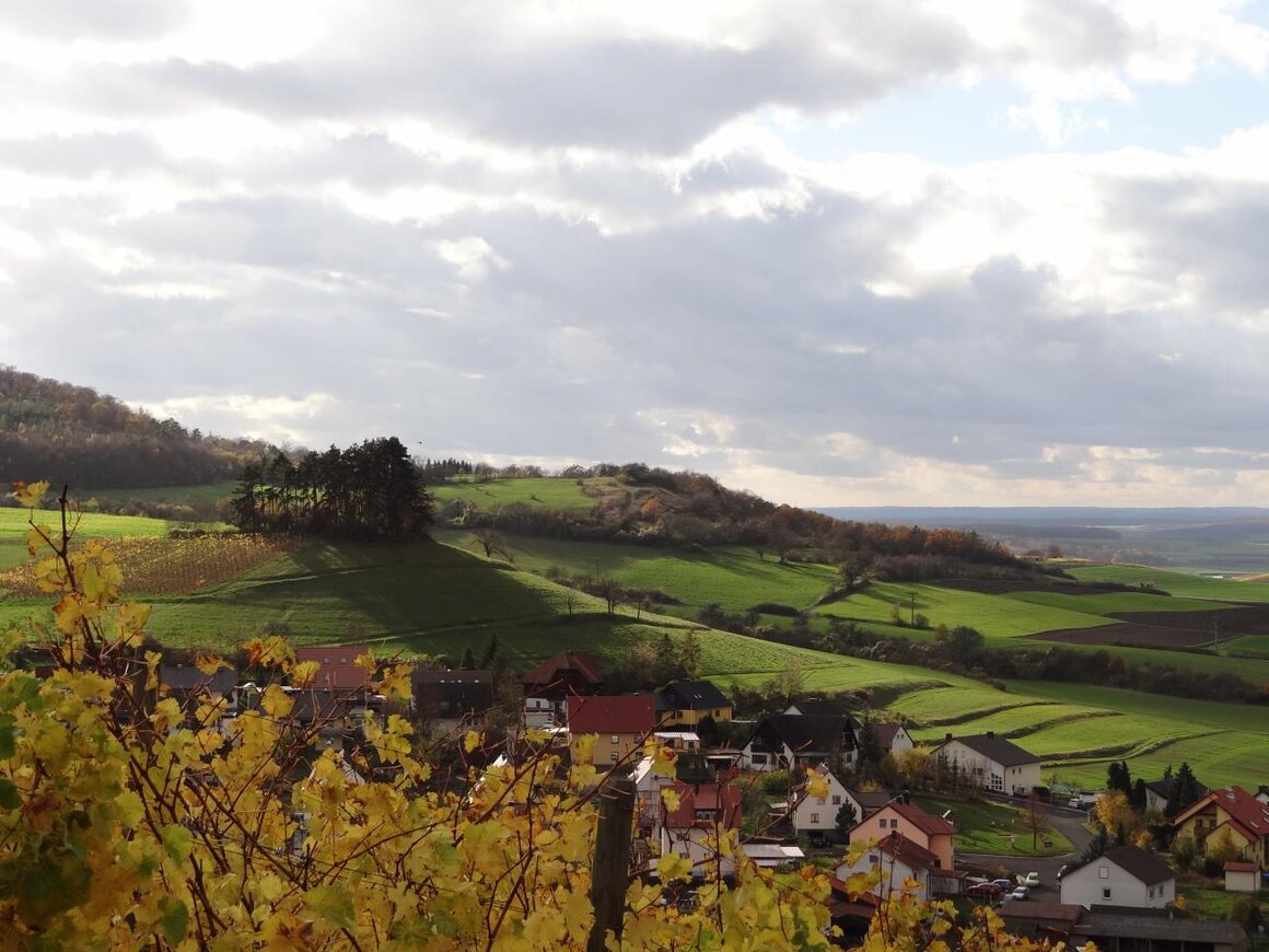 Ortsansicht (Michelau, Steigerwald)