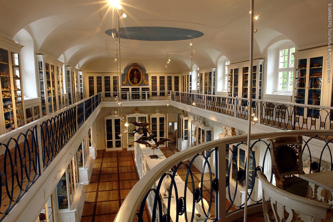 "Vogelsaal" im Naturkundemuseum (Bamberg, Steigerwald)