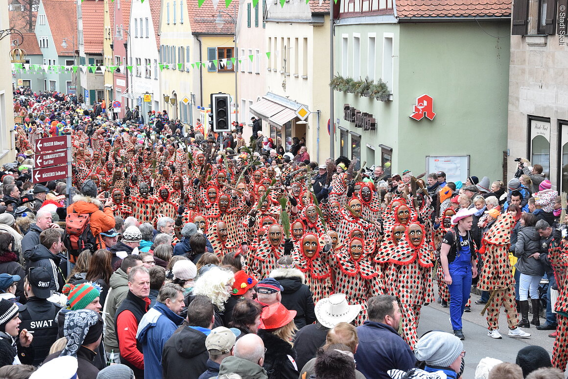 Faschingsumzug (Spalt, Fränkisches Seenland)