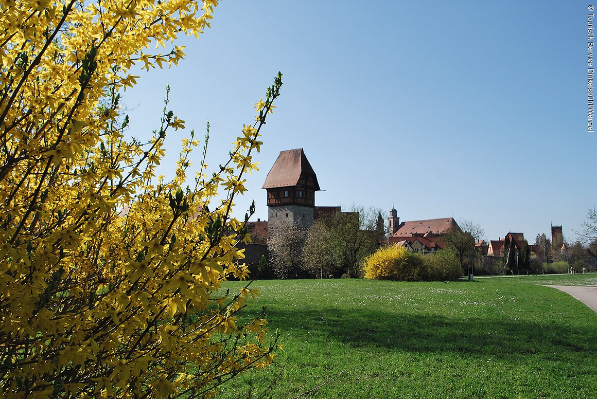 Stadtansicht im Frühling (Dinkelsbühl, Romantisches Franken)