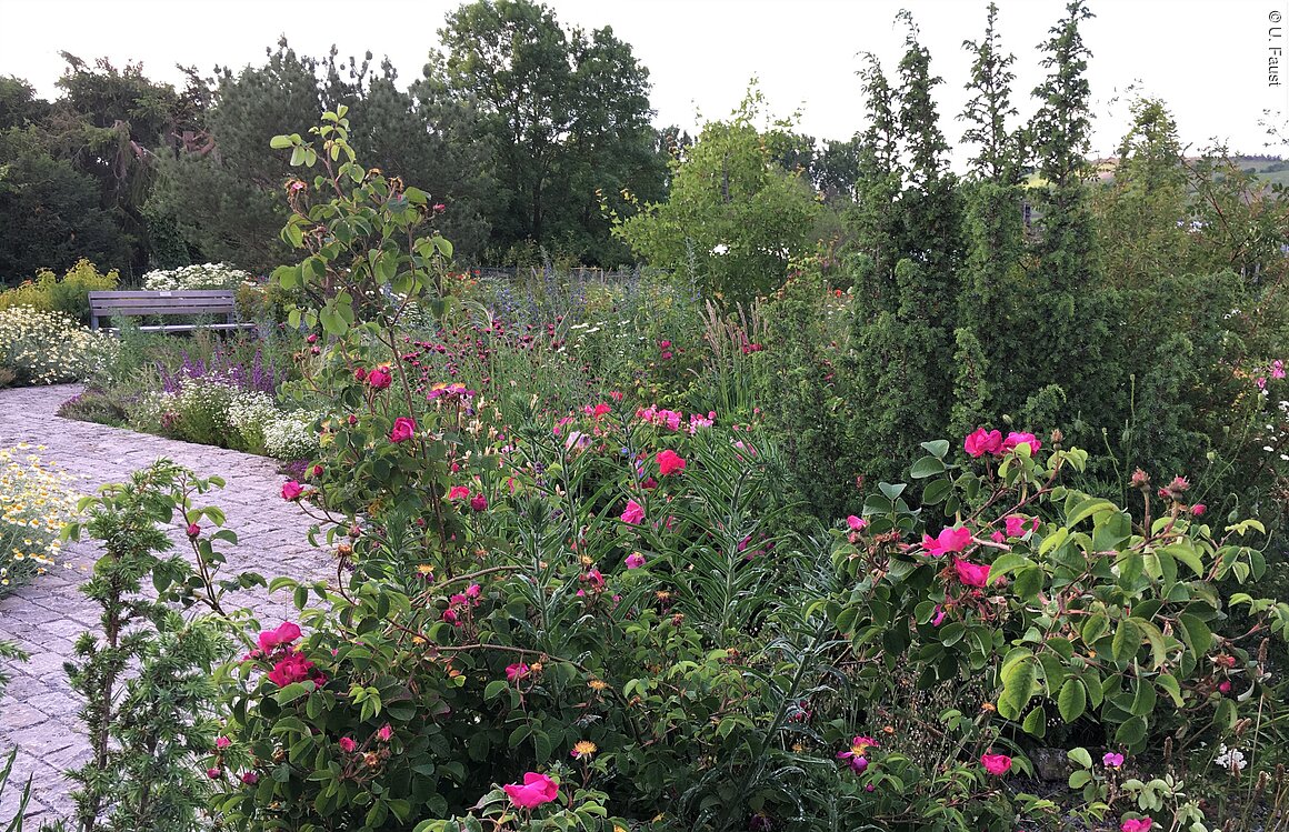 Ewiger Garten (Erlabrunn, Fränkisches Weinland)