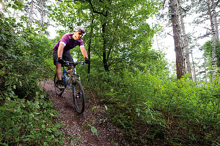 Mountainbiken am Naturweg zum Schwanberg (Steigerwald)