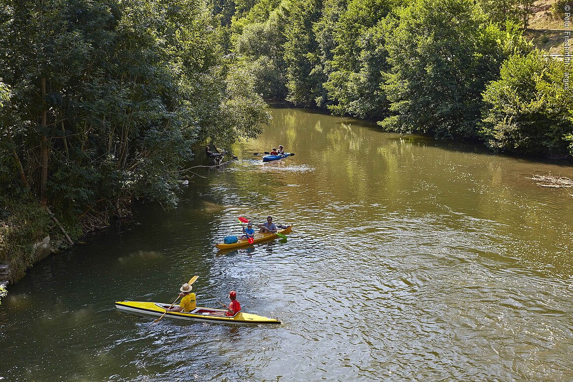 Paddeltour auf der Tauber bei Waldenhausen