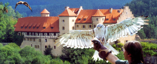 Falknerei Burg Rabenstein - Tourismusverband Franken
